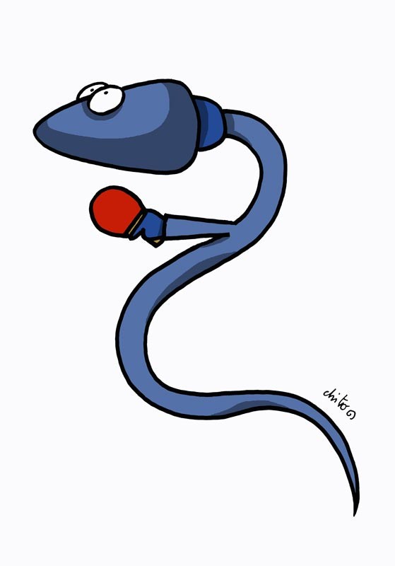 Vignetta di Chito - Flavio Maracchia