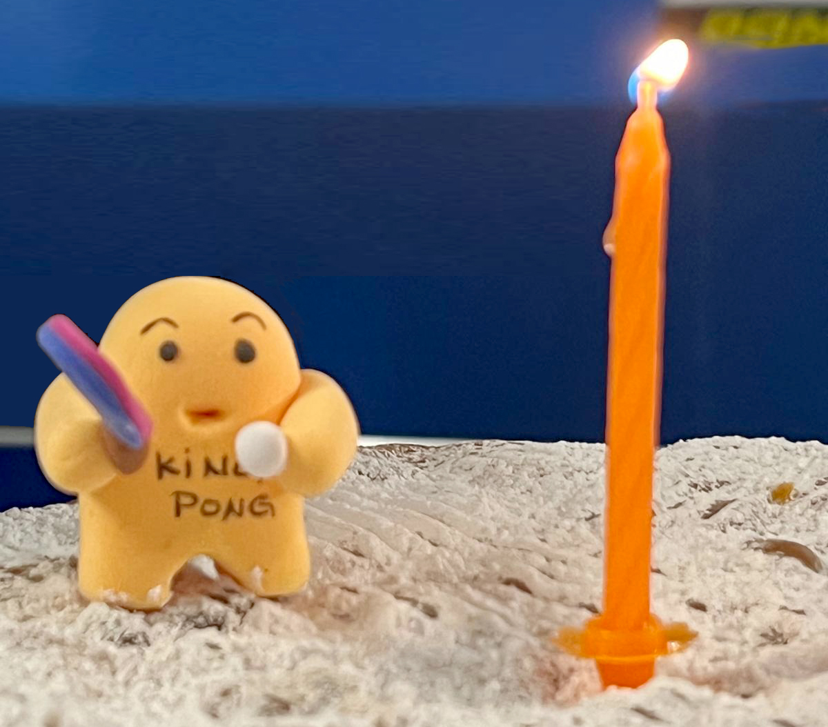 FESTA IN PALESTRA